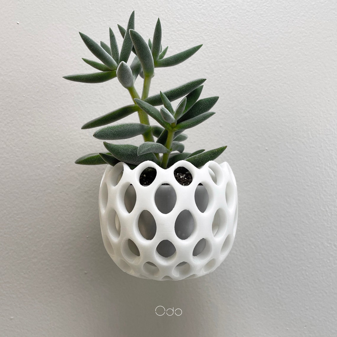 Wall Planter Green Wall - Etsy