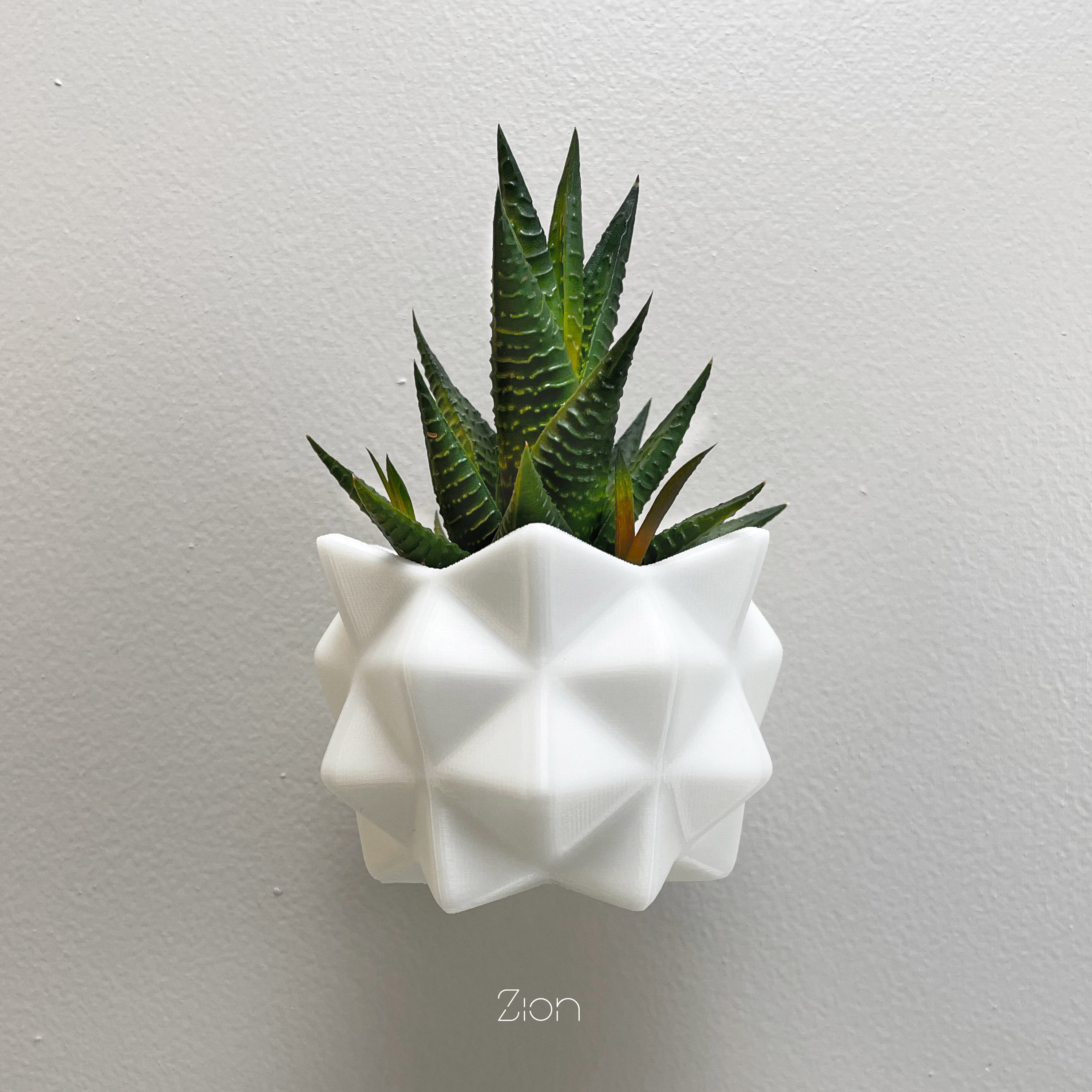 Image showcasing Wall Planter Green Wall - Etsy
