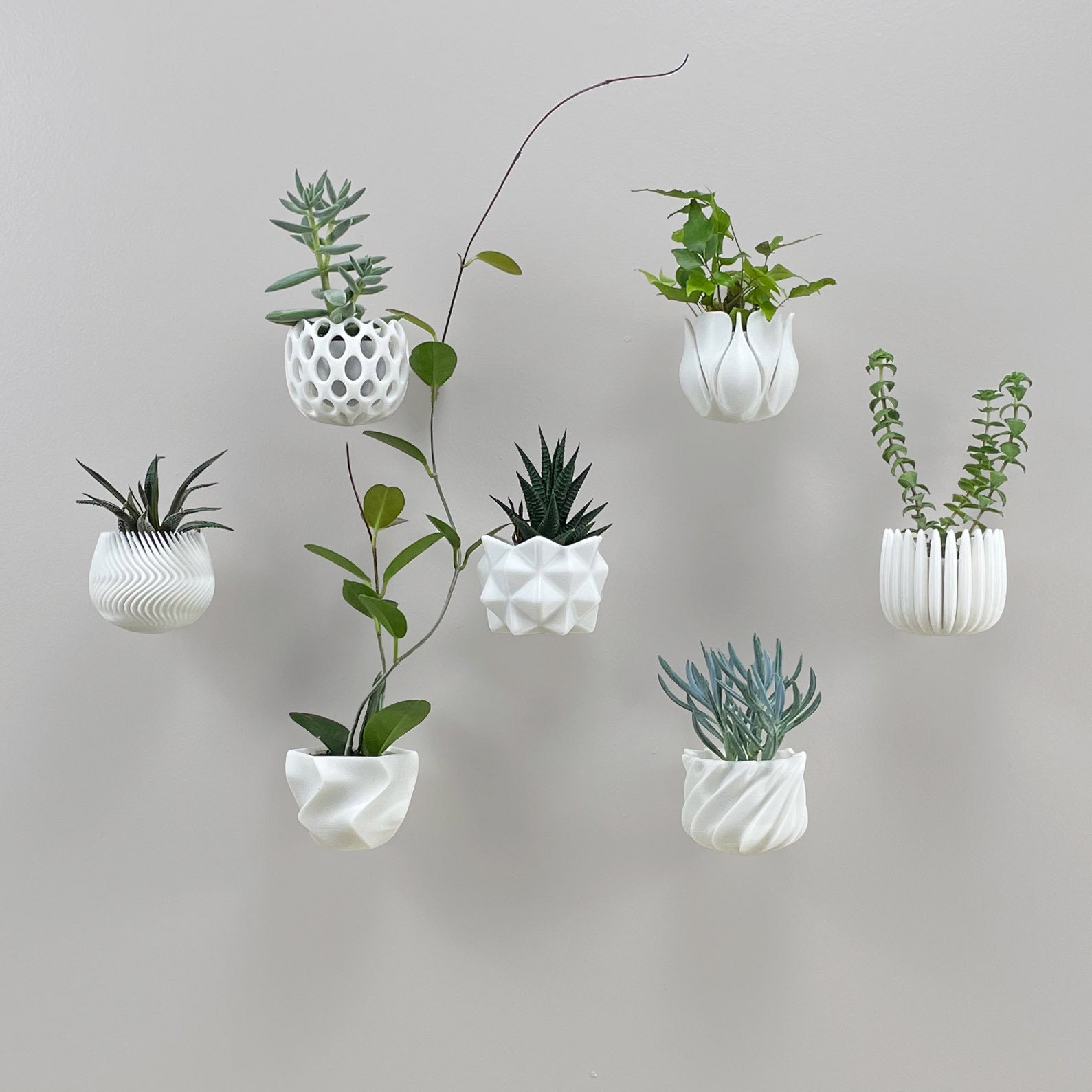 Wall Planter Green Wall - Etsy - Luxurious Green Wall Planters