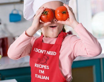 I don't need recipes chef apron for daddy, Funny gift for chef, Pottery apron, BBQ griller apron, Cute apron for women