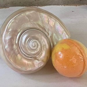 Peut inclure: Un grand coquillage nautile irisé à côté d'une bombe de bain ronde orange et jaune. La coquille a un éclat nacré avec un motif en spirale. La bombe de bain est enveloppée dans du plastique transparent.