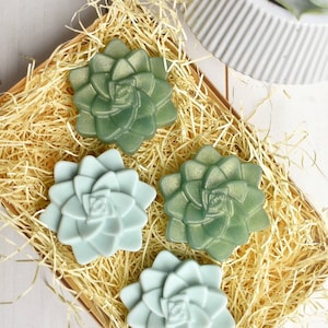 Weelderige succulente geitenmelkzeep