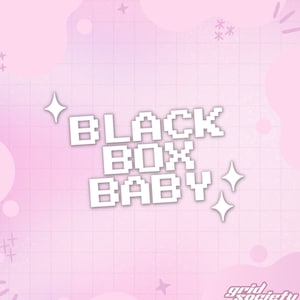 Black Box Vinyl Decal | Pixel Font, White, Pink, Black, Holographic | New Driver Bumper Sticker | Kawaii Gift Passed Driving Test