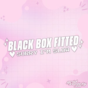 Black Box Vinyl Decal • 20cm • Pixel Font, White, Pink, Black, Holographic • Kawaii New Driver Just Passed Bumper Sticker •  Sorry I'm Slow!