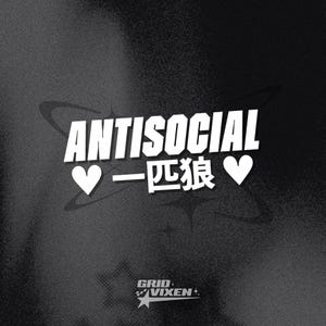 Antisocial Vinyl Decal | 20cm | Japanese Inspired Bumper Sticker | Cute Gift for Drivers
