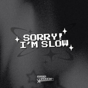 Calcomanía de vinilo "Lo siento, soy lento" / 15 cm / Calcomanía para parachoques para conductores nuevos o nerviosos / Bonito regalo para conductores imagen 1