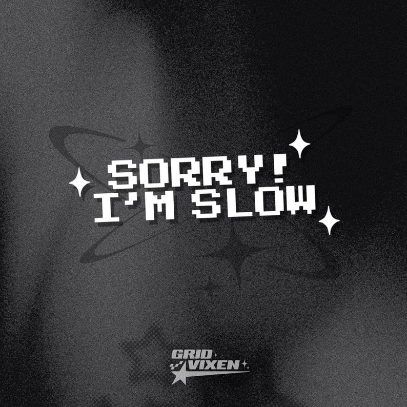 Calcomanía de vinilo "Lo siento, soy lento" / 15 cm / Calcomanía para parachoques para conductores nuevos o nerviosos / Bonito regalo para conductores imagen 1
