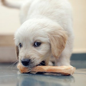 Olive wood Dog Chew