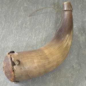 Peut inclure: Une corne à poudre incurvée de couleur naturelle, dotée d'un embout effilé et d'une base circulaire en bois fixée par trois clous métalliques. Une fine ficelle sombre est attachée près de l'embout, avec une texture lisse et polie.
