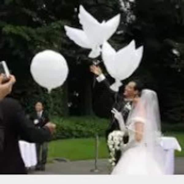 Hochzeit Tauben Ballon