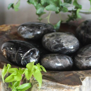 Black Moonstone Palm Stone