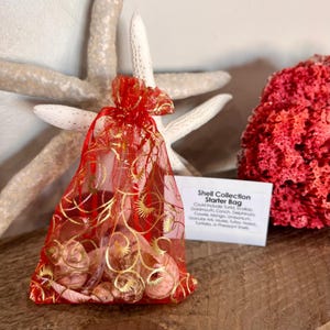 May include: A red mesh bag filled with a variety of seashells. The bag has a gold star pattern and is tied with a red ribbon. The bag is sitting on a wooden surface with a piece of coral in the background. The text on the card reads "Shell Collection Starter Bag".