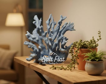 Blue Coral 5-7"