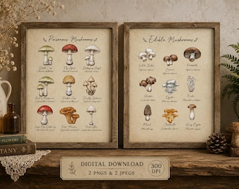 Watercolor Mushroom Wall Art Set | Edible & Poisonous Mushroom Charts | Printable Botanical Prints | Cottagecore Decor | Restaurant Decor