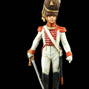 Tin soldier Collectible 54 mm Grenadier Officer of Guard, Westphalia, 1809-10 Napoleonic Wars
