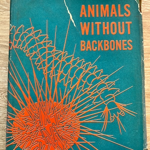 Puede incluir: Una cubierta de libro azul verdoso con el título "Animals Without Backbones" en texto naranja. La cubierta presenta una ilustración estilizada naranja de un erizo de mar.