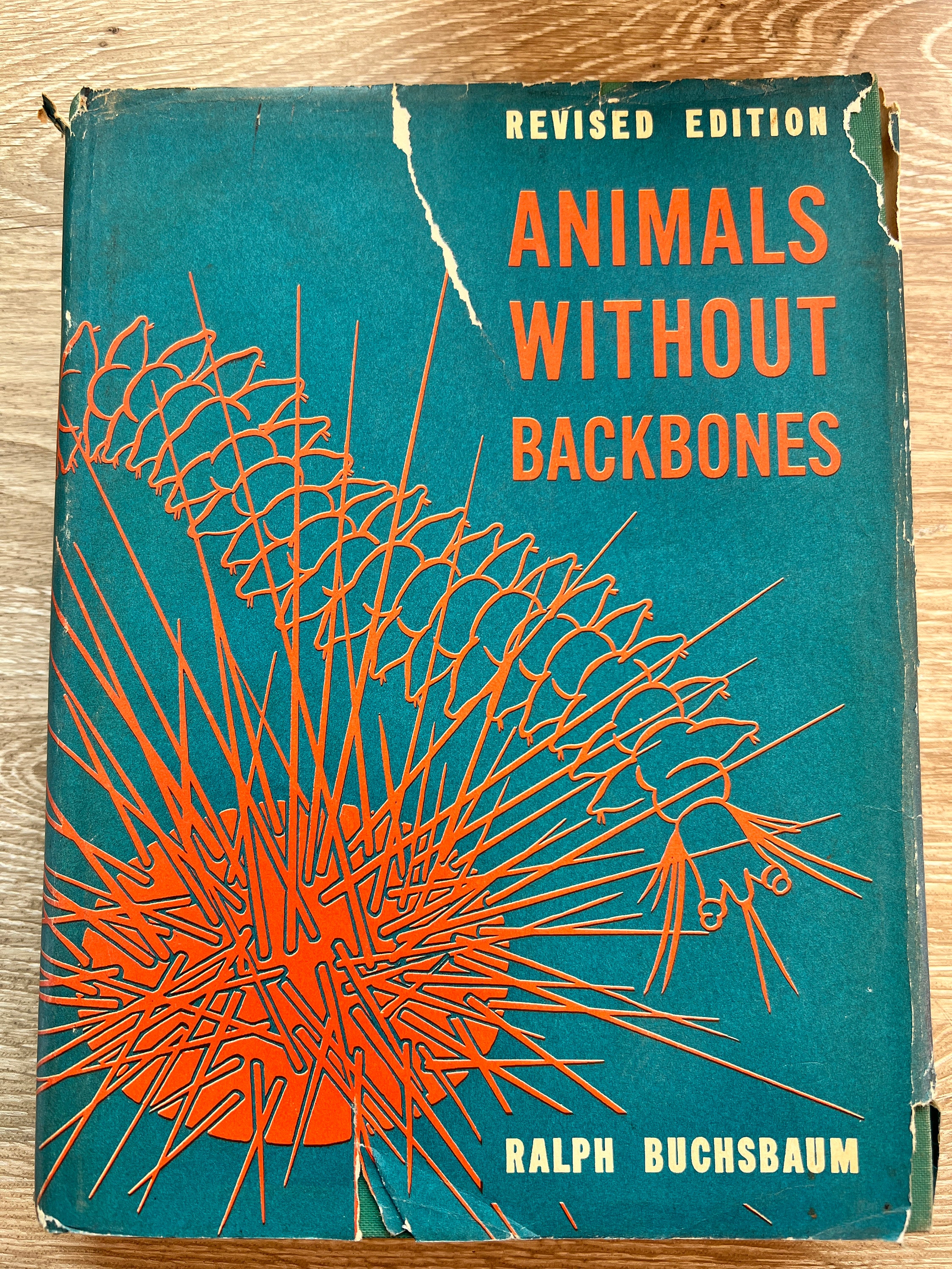 Animals Without Backbones: an Introduction to the - Etsy