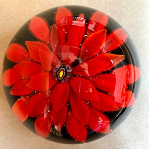 Murano style Red Chrysanthemum or Poinsettia domed art glass paperweight