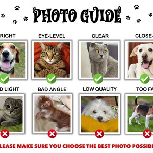 May include: A guide for taking good photos of pets. The guide shows examples of good and bad photos. The good photos are bright, eye-level, clear, and close-up. The bad photos are bad light, bad angle, low quality, and too far.