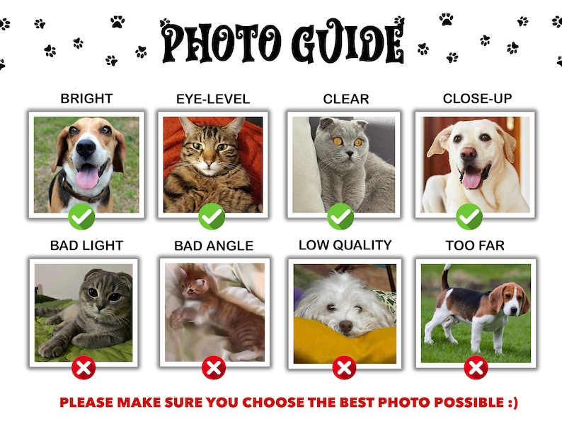 May include: A guide for taking good photos of pets. The guide shows examples of good and bad photos. The good photos are bright, eye-level, clear, and close-up. The bad photos are bad light, bad angle, low quality, and too far.
