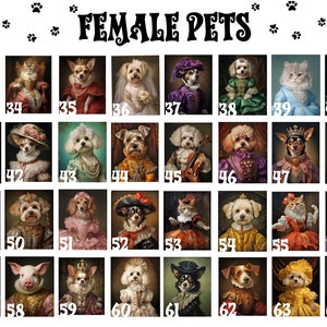 May include: A collage of 64 images featuring various pets dressed in elaborate costumes. The pets are mostly dogs and cats, with a few pigs and a cow. The images are arranged in a grid of 8 rows and 8 columns. The title "FEMALE PETS" is at the top of the collage.