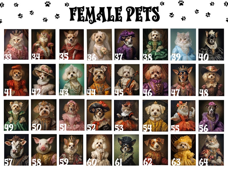 May include: A collage of 64 images featuring various pets dressed in elaborate costumes. The pets are mostly dogs and cats, with a few pigs and a cow. The images are arranged in a grid of 8 rows and 8 columns. The title "FEMALE PETS" is at the top of the collage.