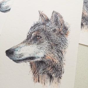 Wolf Art Print, Wolf Illustration, Wolf Face Art Print A5 Printed from my Original Pen and Ink with Markers Art Work, Forest Animal Art