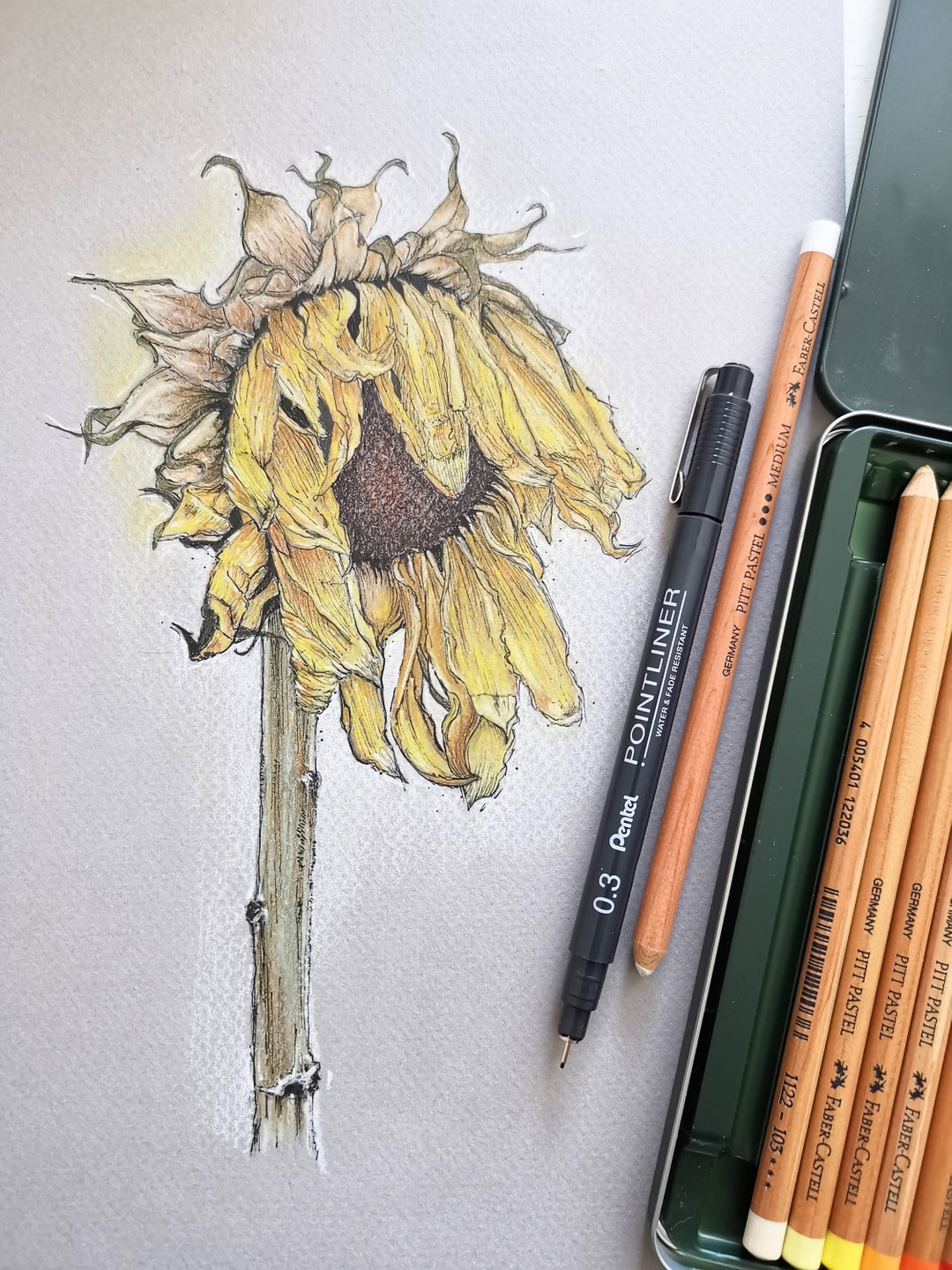 Original Pastel Pencil Painting of Sunflower, Wilted Flower Art