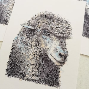 Woolly Sheep Art Print, Sheep illustration, Sheep Art, Sheep Print printed from my Original Pen and Ink with Markers Artwork, A5