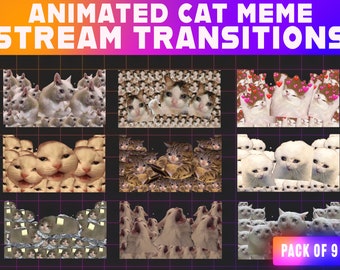Crying Cat Meme Twitch Stinger Transitions | Stream Overlay Pack (Digital Download)