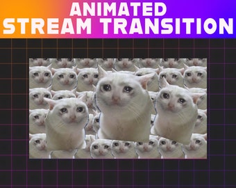 Crying Cat Meme Animated Stream Transition | Twitch Stinger (Digital Download)
