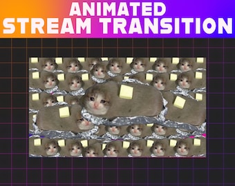 Crying Cat Meme Stream Transition | Animated Twitch Stinger (Digital Download)