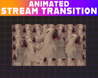 Crying Cat Meme Animated Twitch Stinger Transition | Stream Overlay (Digital Download)