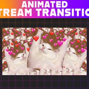 Crying Cat Meme Twitch Stinger Transition | overlay twitch | stream overlay | stinger transition | emot twitch