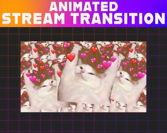 Crying Cat Meme Animated Twitch Stinger Transition | Stream Overlay (Digital Download)