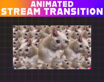 Crying Cat Meme Animated Twitch Stinger Transition | Stream Overlay (Digital Download)