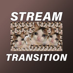 Meme del gatto che piange Twitch Stinger Transizione / overlay twitch / stream overlay / stinger transition / emot twitch