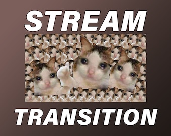 Crying Cat Meme Twitch Stinger Transition | Stream Overlay (Digital Download)