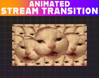 Crying Cat Meme Animated Twitch Stinger Transition (Digital Download)