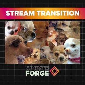 Funny Cute Dog Chihuahua Meme Stream Transition Stinger for Twitch Youtube | Animated overlay transition OBS