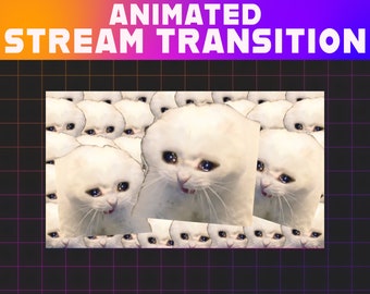 Crying Cat Meme Twitch Stinger Transition | Animated Stream Overlay (Digital Download)