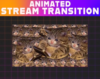 Crying Cat Meme Animated Stream Transition | Twitch Stinger (Digital Download)