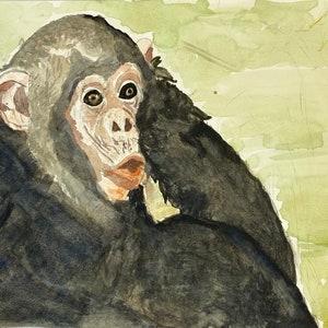 Monkey watercolour art print / Monkey art / Giclée print / Watercolour Wall art