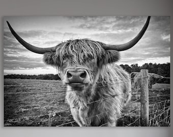 Highland Cattle Canvas Print, Huge Canvas Home Decor, Highland Cow Wall Art, Highland Cattle Gift, Highland Cow Art Print, Highland Cow Art