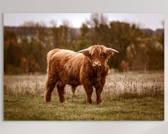 Highland Cow Wall Art, Huge Canvas Home Decor, Highland Cattle Canvas Print, Highland Cow Art Print, Highland Cattle Wall Decor