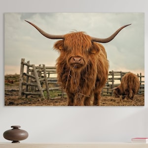 Highland Cow Wall Art, Huge Canvas Home Decor, Farm Canvas, Highland Cattle Wall Decor, Highland Cow Art, Farm Art, Highland Cow Canvas