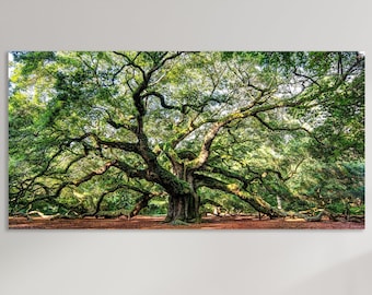 Angel Oak Tree Canvas Print, Oak Tree Art, Huge Canvas Wall Art, Angel Oak Tree Wall Art, Oak Tree Wall Decor, Angel Oak Tree Art Print