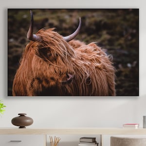 Highland Cattle Wall Art,  Huge Canvas Home Decor, Farm Canvas, Highland Cow Wall Decor, Farm Art, Highland Cattle, Nature Art, Animals