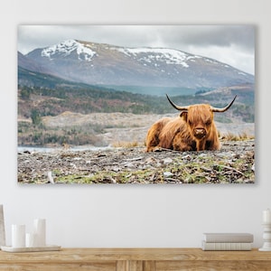 Highland Cow Wall Art,  Huge Canvas Home Decor, Farm Canvas, Highland Cow Wall Decor, Highland Cattle Art, Highland Cow Canvas