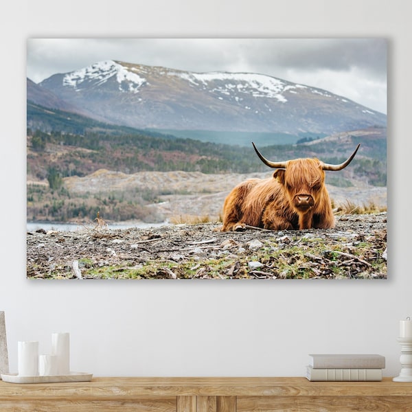 Highland Cow Wall Art,  Huge Canvas Home Decor, Farm Canvas, Highland Cow Wall Decor, Highland Cattle Art, Highland Cow Canvas